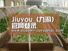 环境展示五