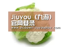 产品名称九
