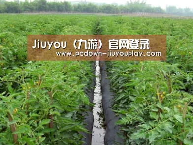 种植基地三