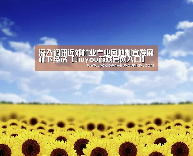 Jiuyou游戏官网入口
