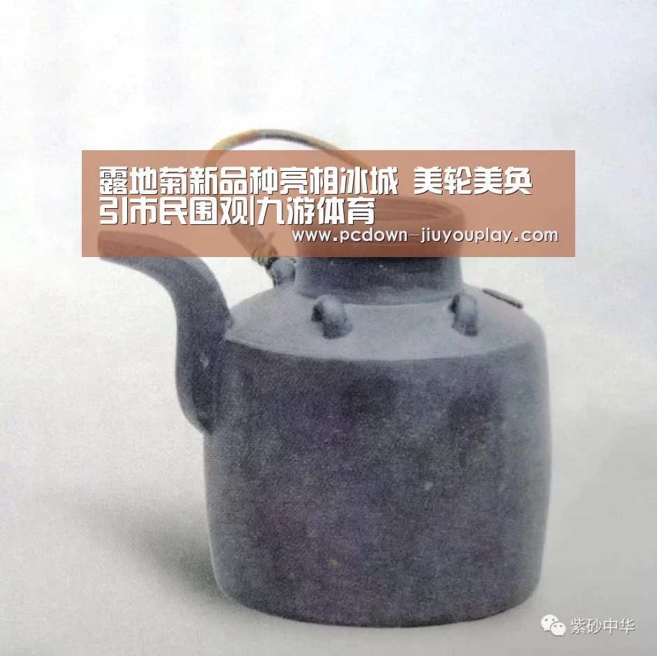 Jiuyou游戏官网入口
